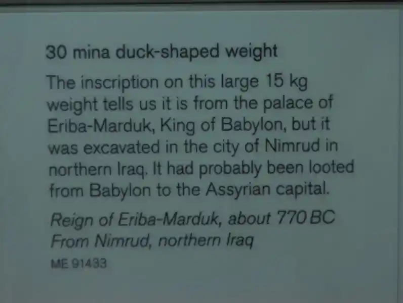 30 mina duck-shaped weight